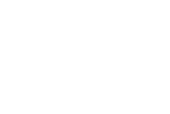 NMIT Logo